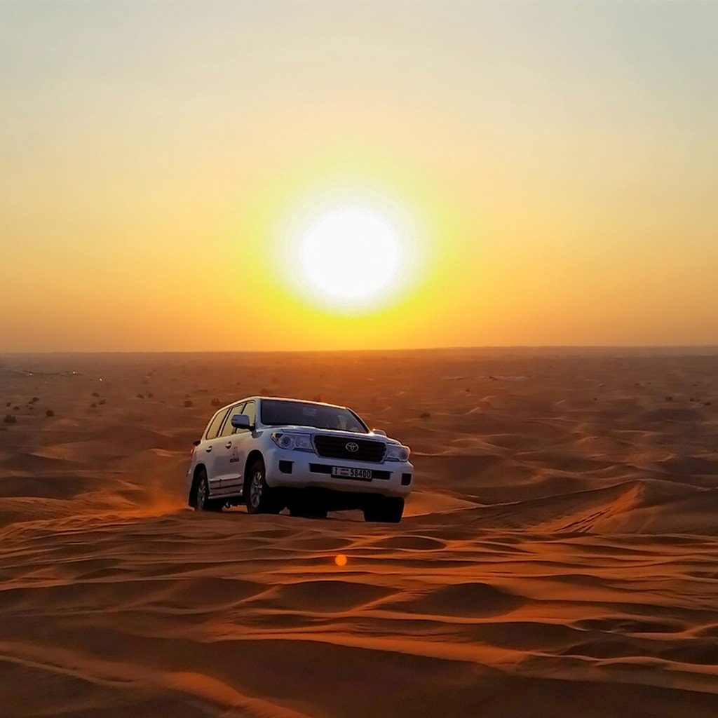 Morning Desert Safari In Dubai Overview