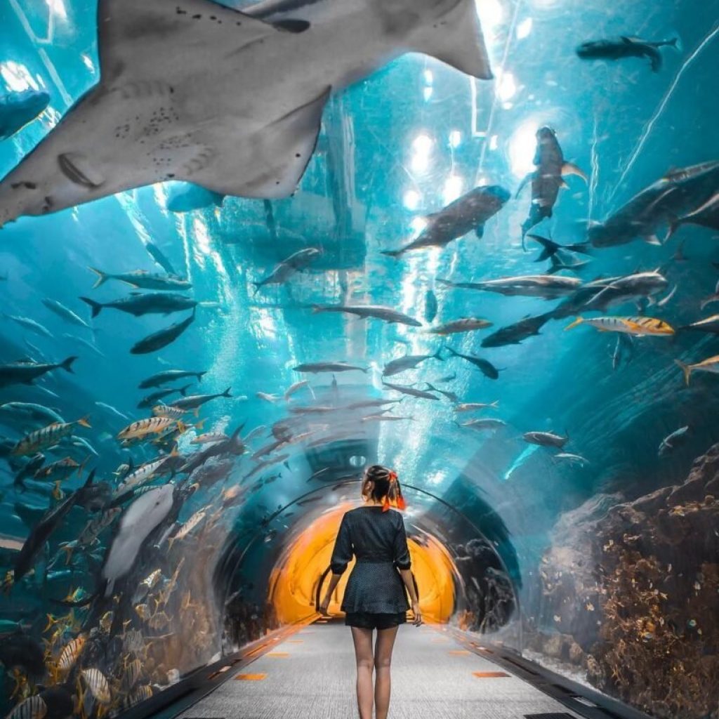 Combo : IMG Worlds of Adventure + The Lost Chambers Aquarium Tickets