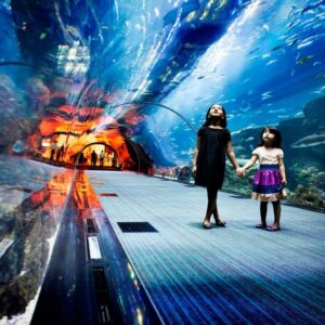 Dubai Aquarium and Underwater zoo