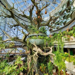 The Green Planet Dubai