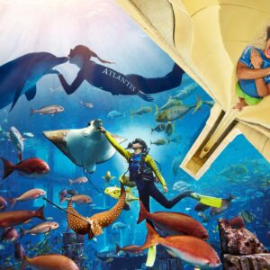 Combo : LEGOLAND® Water Park + Dubai Aquarium and Underwater Zoo Tickets