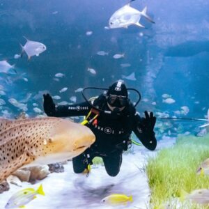 The National Aquarium Abu Dhabi