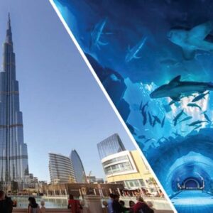 Combo Explore Dubai: Burj Khalifa, Aquarium & Desert Safari