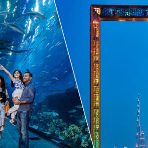 Combo: Dubai Aquarium + Green Planet + Dubai Frame Tickets