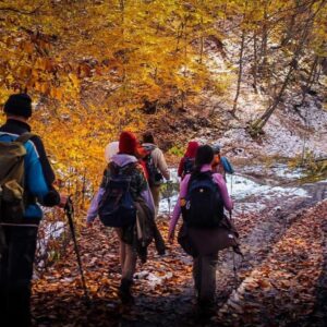 Special Georgia 5 Nights Package