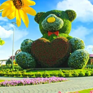 Dubai Miracle Garden Ticket
