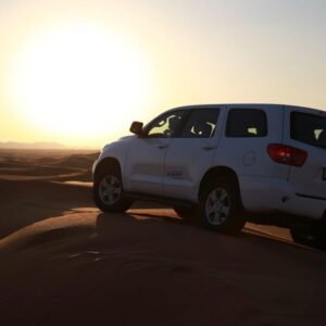 Evening Desert Safari with BBQ Dinner