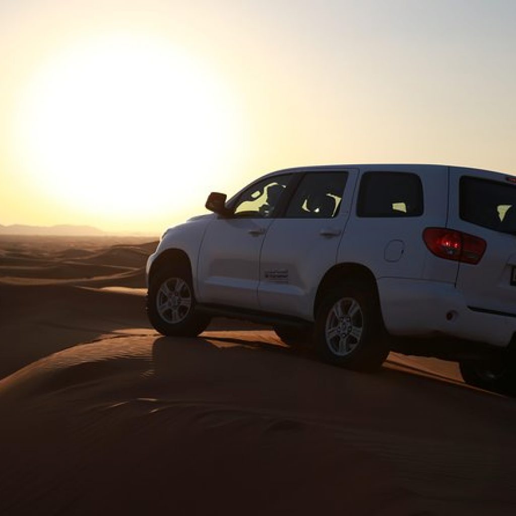Evening Desert Safari with BBQ Dinner