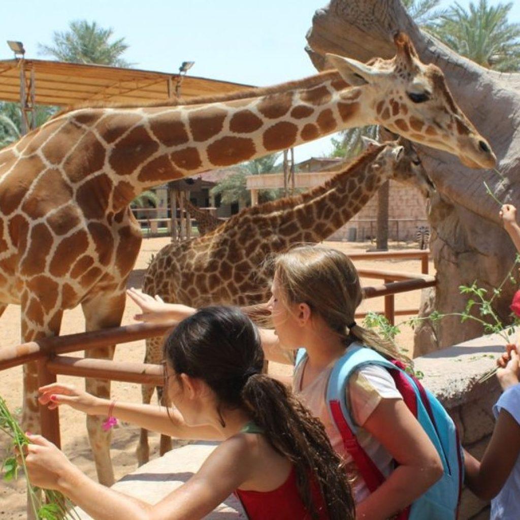 Al Ain Zoo
